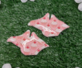 Pink Cupcake IOW Magnet